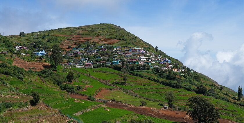 View of Alagarmalai from the southeast, Hullathi, The Nilgiris, Tamil Nadu.