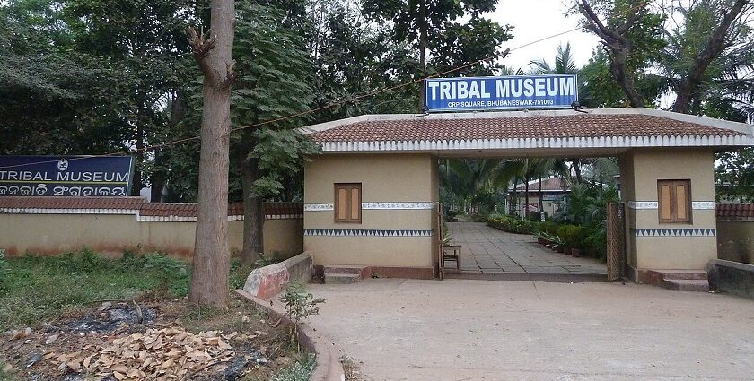 Entry gate of Tribal Museum Bhubaneswar, with modern architectural and spacious design