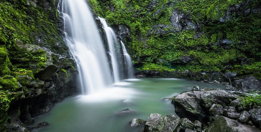 A Serene view of Vaideki Waterfall which is one of the best places for travellers.