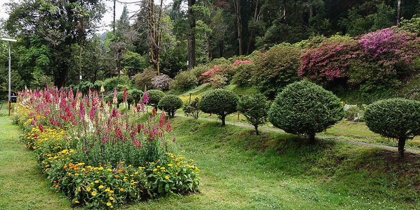 Lloyd’s Botanical Garden includes hill slopes with different species of plants and trees.