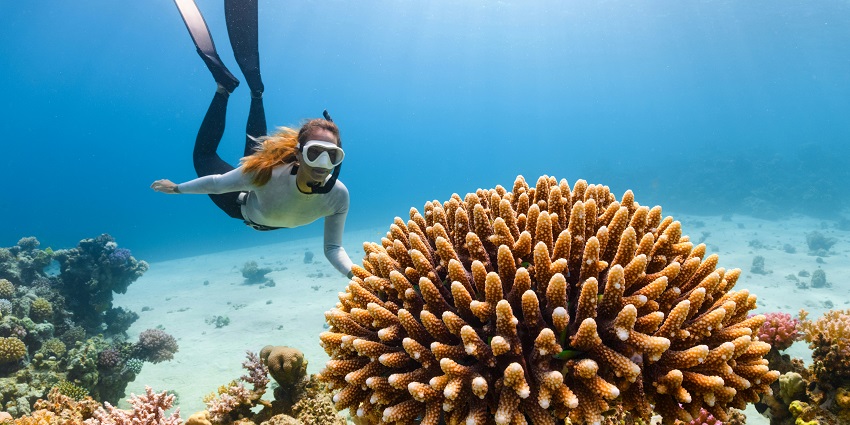 Atlantis Water Sports Goa at Calangute Beach offers the most fun and underwater adventure.