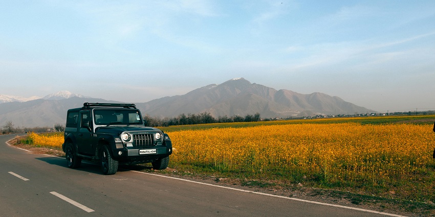 Mahindra Thar car parked on the roadside, with a yellow field stretching out in the background
