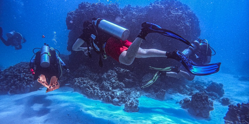 An image of divers under the Agarwada Beach, ideal for those who want to survey the underwater world