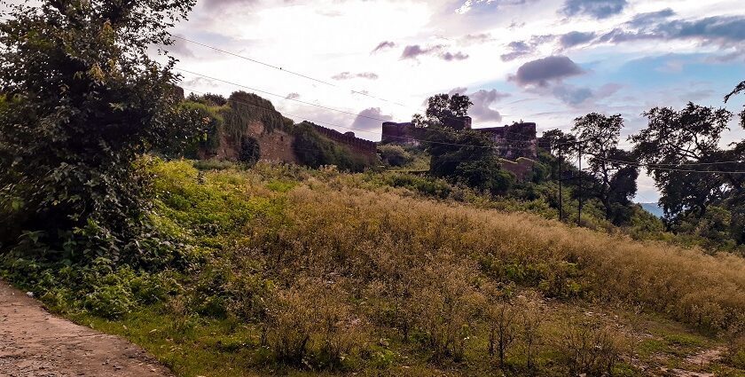 Agori Fort is located on the top of the hill for every traveller to explore.