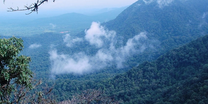 A picture of Agumbe, which is surrounded by its tropical rainforests, and majestic sunsets.
