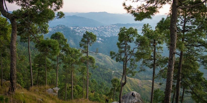 Almora with its cultural heritage attracts numerous tourists every year in the state.