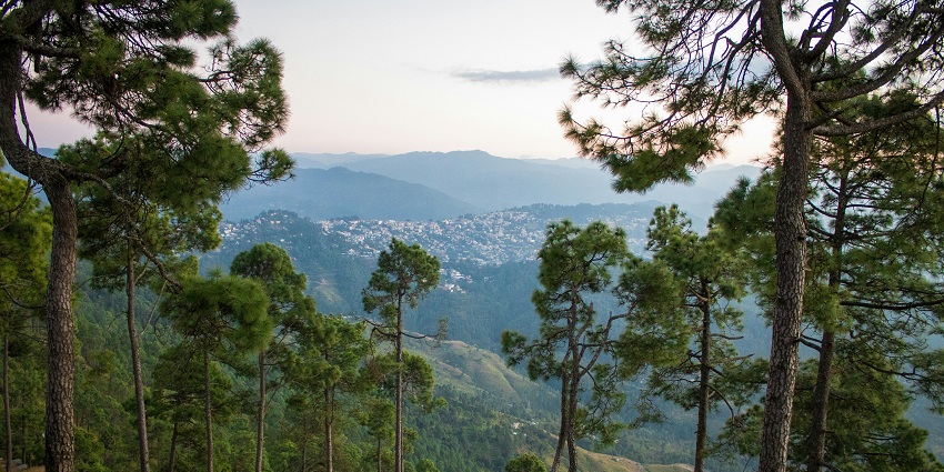 The beautiful view of the Himalayan town of Almora, a perfect getaway near Corbett.