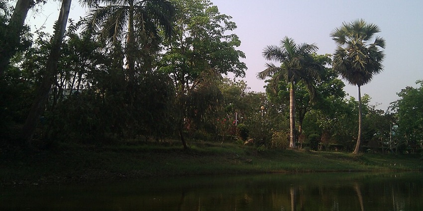 Plants and lake at Amarabati Park, a beautiful place to visit in Digha