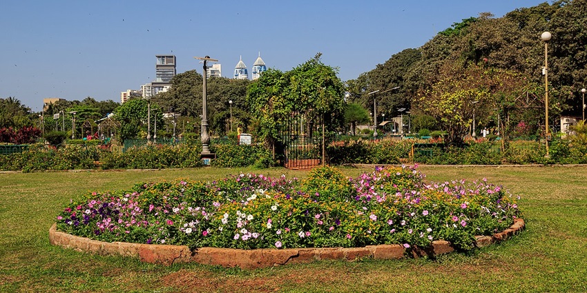 An image of a garden full of greenery very similar to the Amarsons garden in Mumbai.