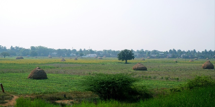 A view of Anaikatti, one of the top places to explore near Thirumuruganpoondi Temple.