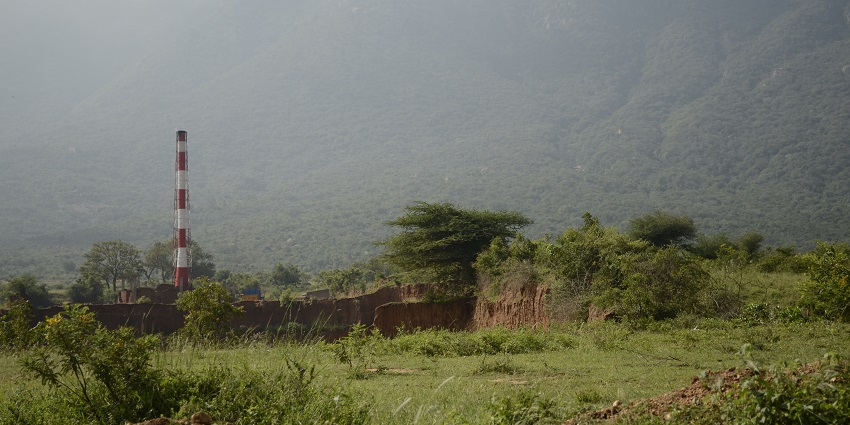 Beautiful natural plantations in the dense forest area of Anaikatti, one of the best Coimbatore hill stations