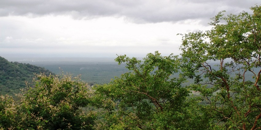 A stunning view of the Anamalai Hills, one of the popular May tourist attractions in Tamil Nadu