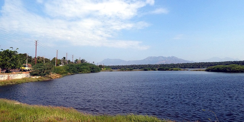 Andipalayam Lake is one of the most amazing places to visit in Tirupur, Tamil Nadu