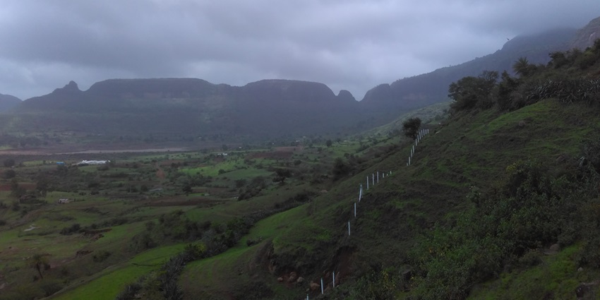 An image showing dense greenery on the mountain resembling the Anjneri Hill.