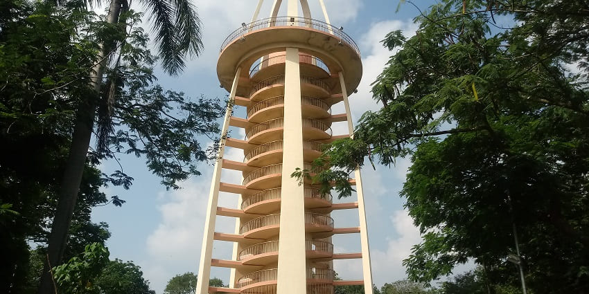 Well-lit Anna Nagar Tower Park is one of the best places to visit in Chennai at night.