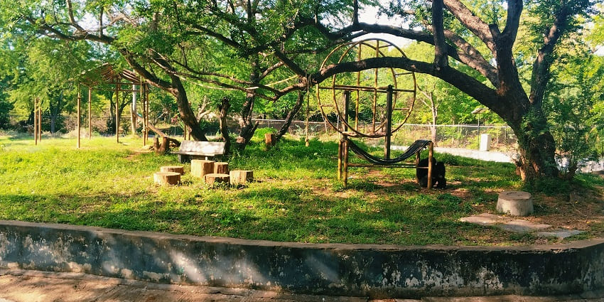 A picture of a zoological park with a blanket of lush greenery and tall trees