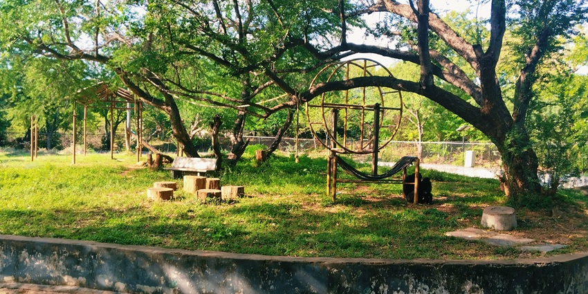 Expansive Chennai zoo with diverse wildlife, safari rides, and conservation exhibits in a forested setting, situated near Thennangur temple.