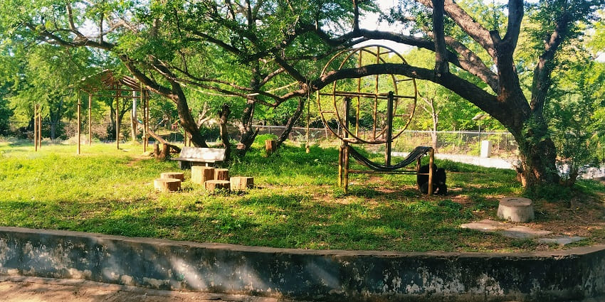 Picturesque view of the lush landscapes of Arignar Anna Zoological Park