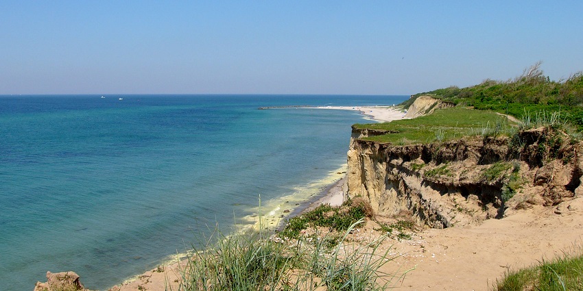 A Beach with clear blue water with beach sand and grass covering the shoreside