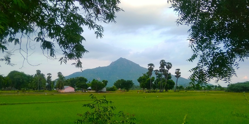 View of Arunachala Hill slopes, a must-visit among places near Tiruvannamalai Temple.