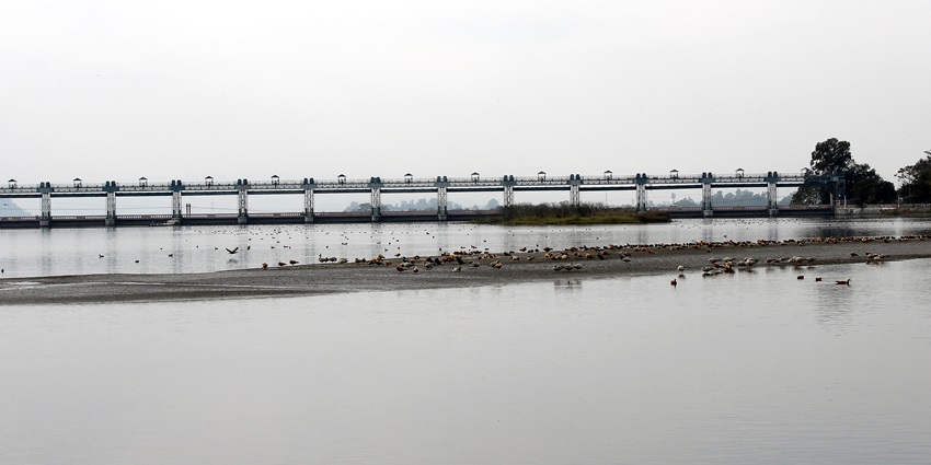 An image of the Asan Barrage Wetland, which is a great place for wildlife and bird lovers.