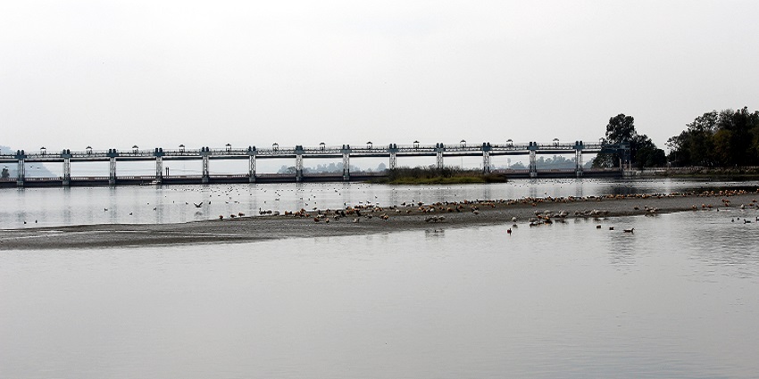 Asan Barrage is one of the serene location for birdwatching, and scenic landscapes.
