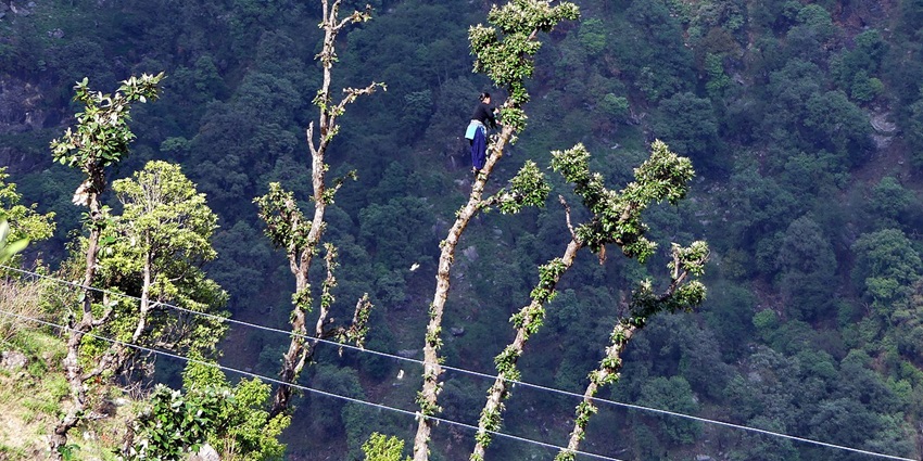 Askot Wildlife Sanctuary, located in the Indian State of Uttarakhand