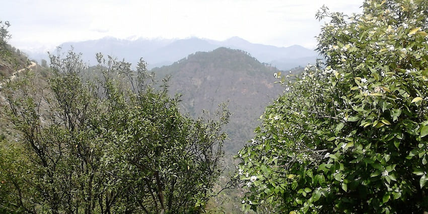 Hiljatra taking place in Askot one of the less crowded hill stations in Uttarakhand.