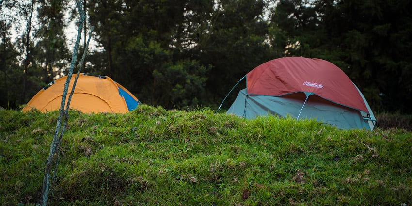 Luxury camping in Shivpuri with scenic surroundings of grasslands and forest.