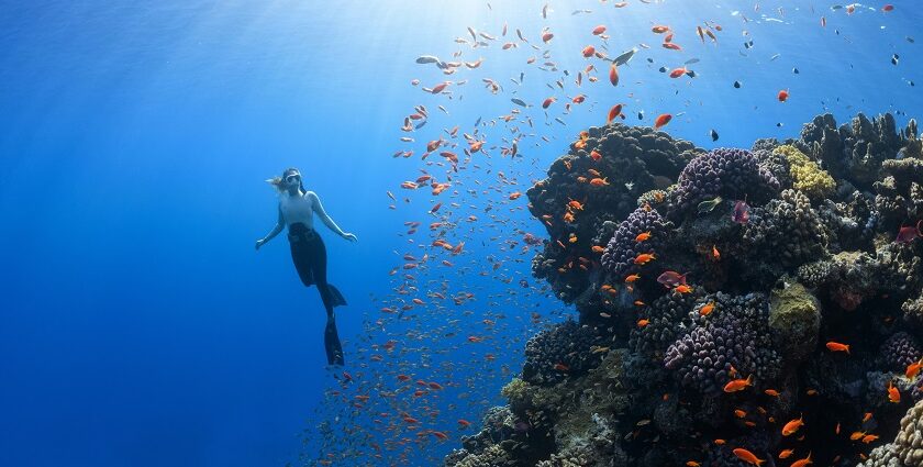 Scuba diving at Atlantis Water Sports Goa is a top-tier choice for thrill seekers.