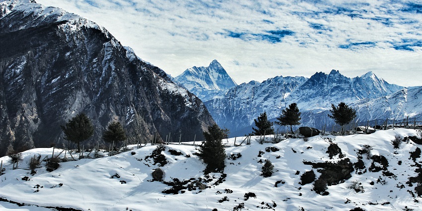 Snow-covered slopes of Auli with scenic mountain views, popular for skiing in Uttarakhand