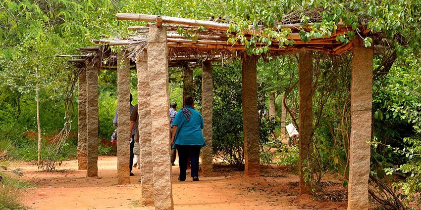 The famous Auroville Botanical Gardens near Melmalayanur Temple