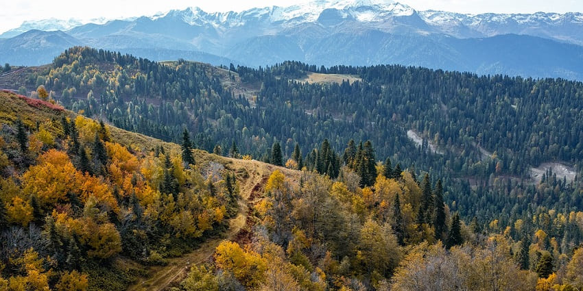 Autumn landscape with mountains and forest, showcasing vibrant fall colours.