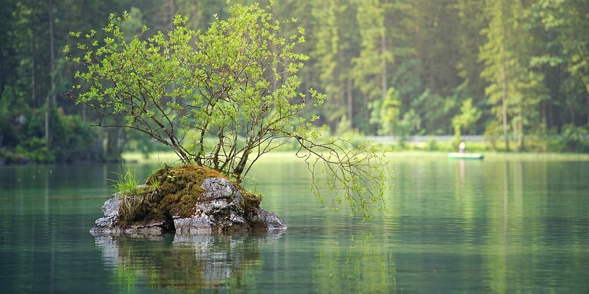The calm waters of Balasamudram Lake reflect the surrounding hills and greenery.