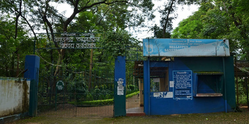 A ticket counter at Ballabhpur Wildlife Sanctuary with the vast greenery visible in the background