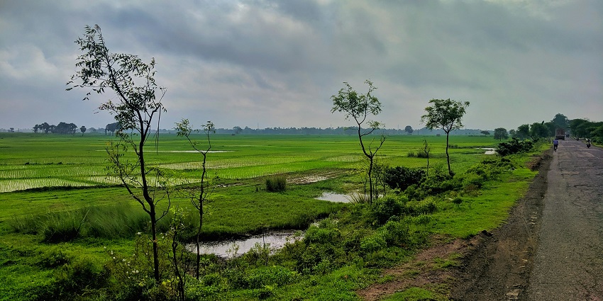 Scenic view of the fields of Banshbaria, one of the secret gems nearby