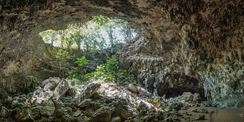 An image showing the mysterious cave hidden among trees like the Bear’s Cave.