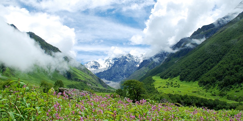 Trekking in Mussoorie with lush forests and breathtaking mountain views.