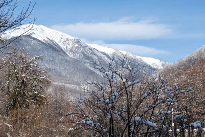 A Guide to the Untamed Beauty named Benog Wildlife Sanctuary, Uttarakhand.