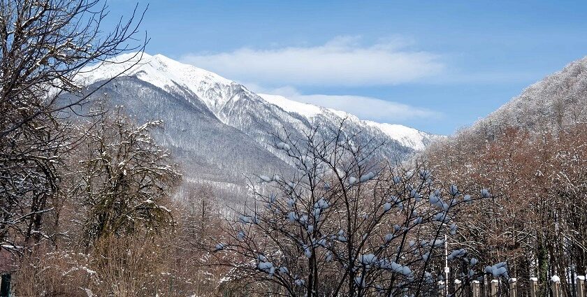 A Guide to the Untamed Beauty named Benog Wildlife Sanctuary, Uttarakhand.