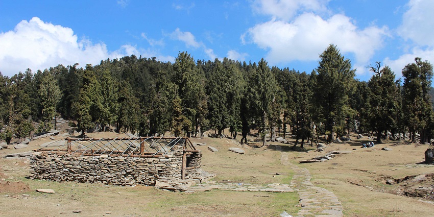 Benog Wildlife Sanctuary offer dense forest and diverse flora and fauna