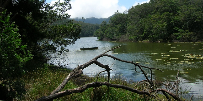 An image of the Berijam Lake amid the dense green forest surrounding Kodaikanal