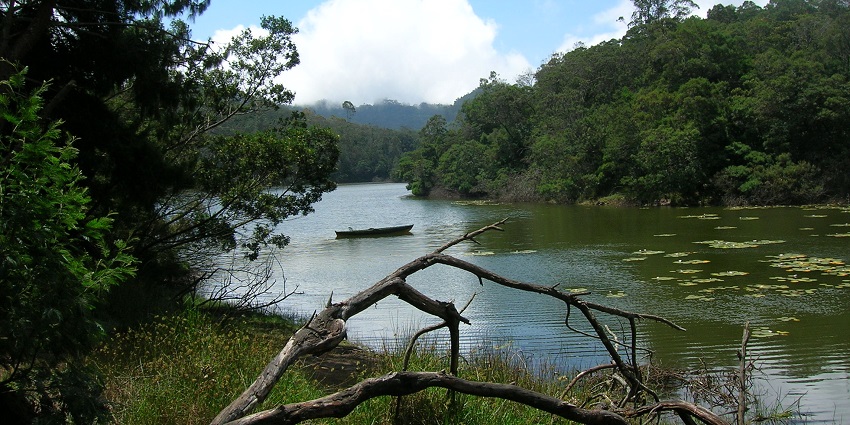 Berijam Lake, surrounded by dense greenery, is one of the best places near Kodaikanal Wildlife Sanctuary.