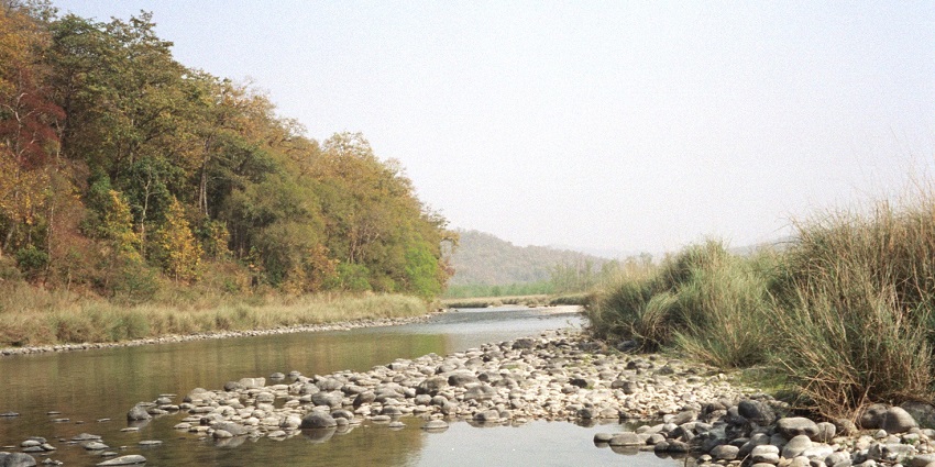The best time to experience a Jim Corbett Jungle Safari spans from November to June.