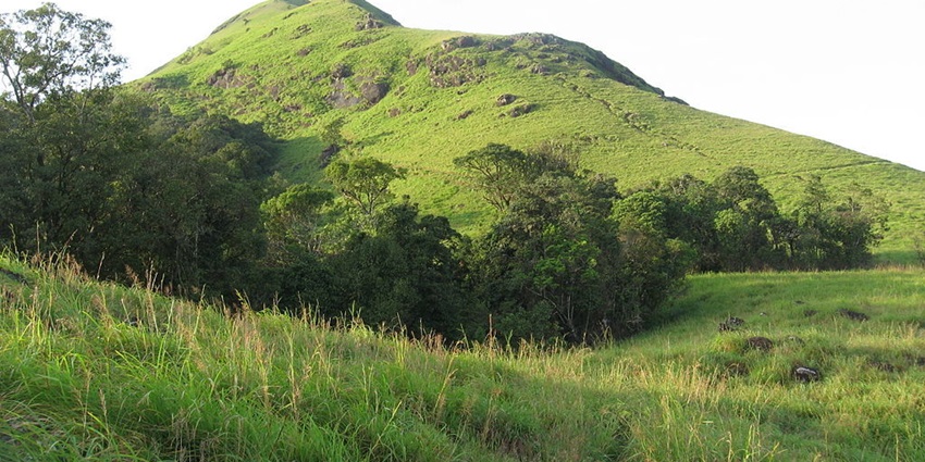 The best time for Mudumalai Tiger reserve is from October to March