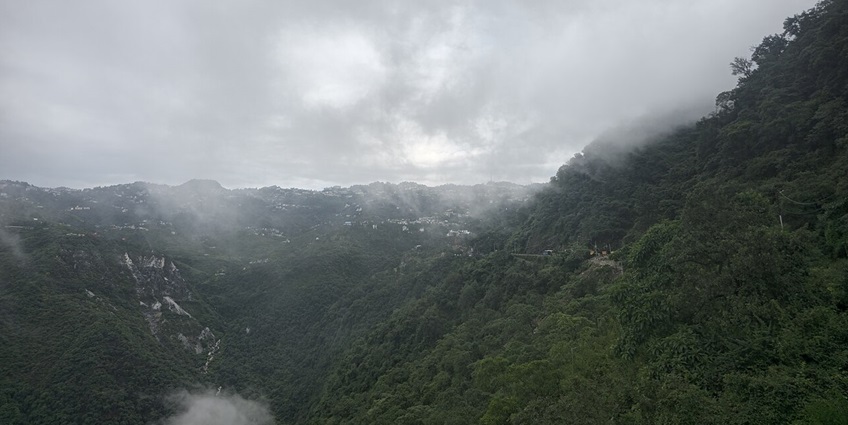 Pleasant view of a part of zoo.