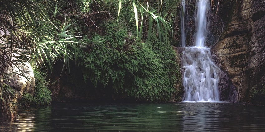 Vibrant view of a pond surrounded by rocks with a flowing waterfall in a natural setting.
