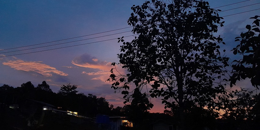 An evening at a small town near Uttar Pradesh.