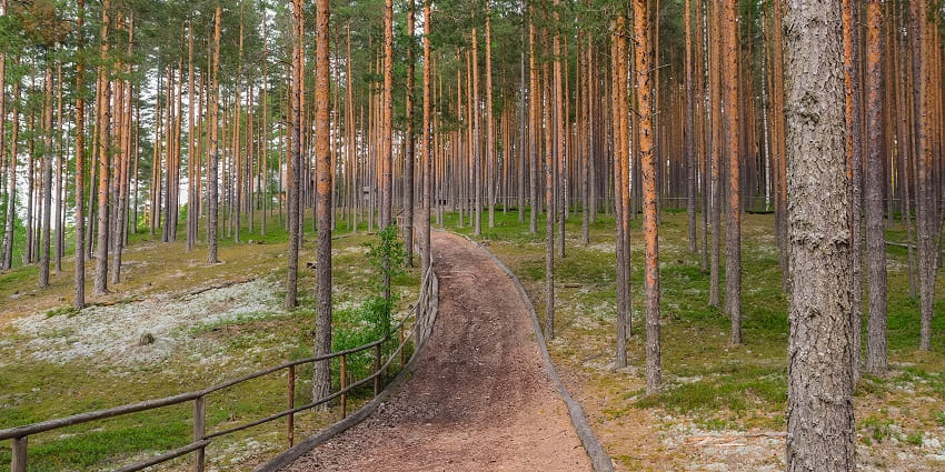 The best time to visit the Kaimoor Wildlife Sanctuary is from October to March.