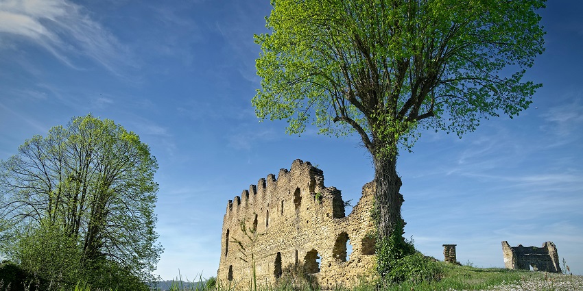 Consider the best time to visit Jaunpur Fort to have a seamless experience on trip.
